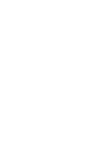 flower-2